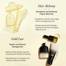Hair Alchemy Resilience Shampoo