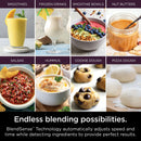 Power Kitchen System Blender - Silver