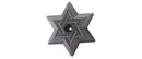 Star of David Bundt Pan - Gray