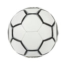 ProCat Breakaway Size 5 NFHS Ball - White