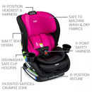 Poplar Convertible Car Seat - Magenta Onyx