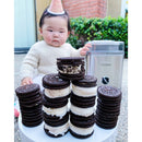 Frozen Yogurt-Sorbet & Ice Cream Maker - Chrome