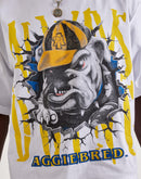 For The Fan North Carolina A&T University Aggies Campus Tour Tee