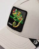 Goorin Bros The Karma Chameleon Trucker Hat