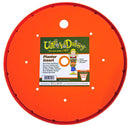 Ups-A-Daisy, 12"