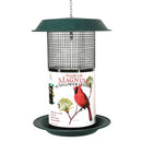 Magnum Sunflower Screen Feeder