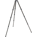 Gitzo GT3542XLS Series 3 6X Systematic 4-Section Tripod (X-Long)