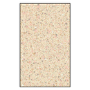 ASI Global Phenolic Urinal Screen 24" X 48" - 40-5882480
