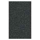 ASI Global Phenolic Urinal Screen 24" X 48" - 40-5882480