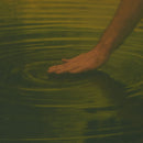 Virere Eau de Parfum