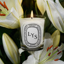 Lys (Lily) Candle