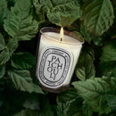 Patchouli Candle