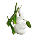 Face Cleansing Essentials