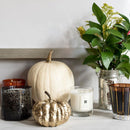 Peony and Blush Suede Home Candle