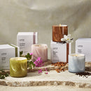 Benzoin Siam Signature Candle