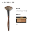 Fan Brush