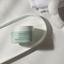 Marini Clear Corrective Pads