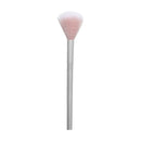 Skin2Skin Fan Brush