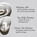 The Cleanse Clarifying Shampoo
