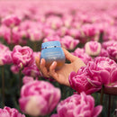 Royal Tulip Nectar