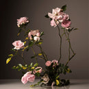Steeped Rose Room Deodorant
