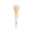 The Powder Brush
