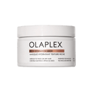 Rich Moisture Hydration and Anti-Frizz Hair Mask