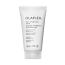Rich Moisture Hydration and Anti-Frizz Hair Mask