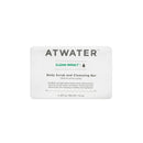 Clean Impact Body Scrub and Cleansing Bar