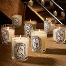 Roses Candle
