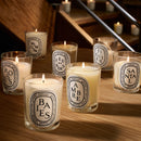 Ambre (Amber) Scented Candle
