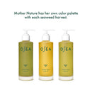 Undaria Algae Body Oil