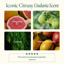 Undaria Algae Body Butter