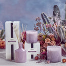 Midnight Cactus Candle
