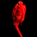 Rose of No Man's Land Absolu de Parfum