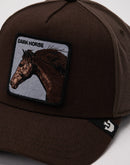 Goorin Bros Dark Horse Field 100 Hat