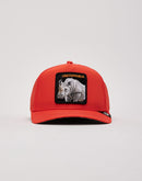 Goorin Bros Washington Pine Train Hat