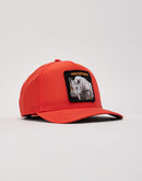 Goorin Bros Washington Pine Train Hat