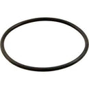 Hayward Gauge Adapter O-Ring | ECX1287