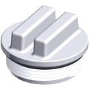 Hayward Plastic Threaded Winter Plug w/ O-Ring for 1-1/2" Fitting | SP1022C