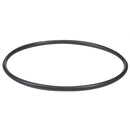 Hayward Salt Cell O-Ring | GLX-DIY-ORING