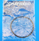 Hayward Viton O-Ring for CL200/CL220 Chlorine Feeders | CLX200K