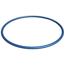 Hayward Pro Series Valve/Tank O-Ring | GMX600F