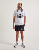 Hugo Paol Shorts