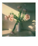Impossible I-1 Camera