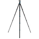 Benro BlackBird Carbon Fiber Tripod with N00P Ball Head
