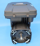Jandy FloPro PlusHP DV2A Motor w/ Drive 2.7 HP R0816800