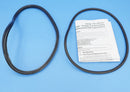 Jandy Pro Series Lid Seal & O-Ring | R0446200