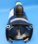 Jandy FloPro 1.5HP Single Speed Motor | R0479312
