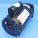 Jandy FloPro 1.5HP Single Speed Motor | R0479312
